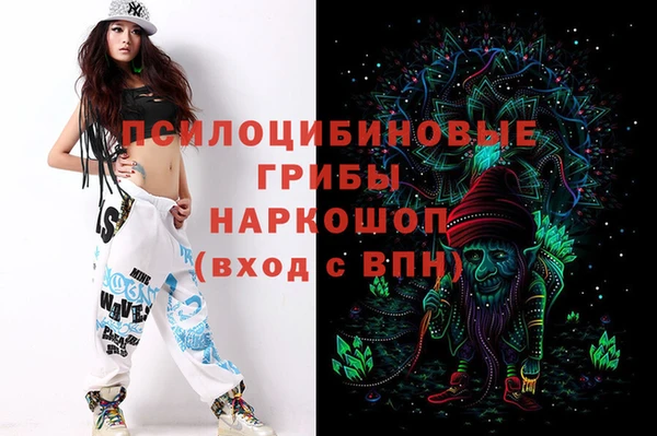 МДПВ Алзамай
