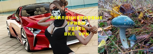 дурь Абаза